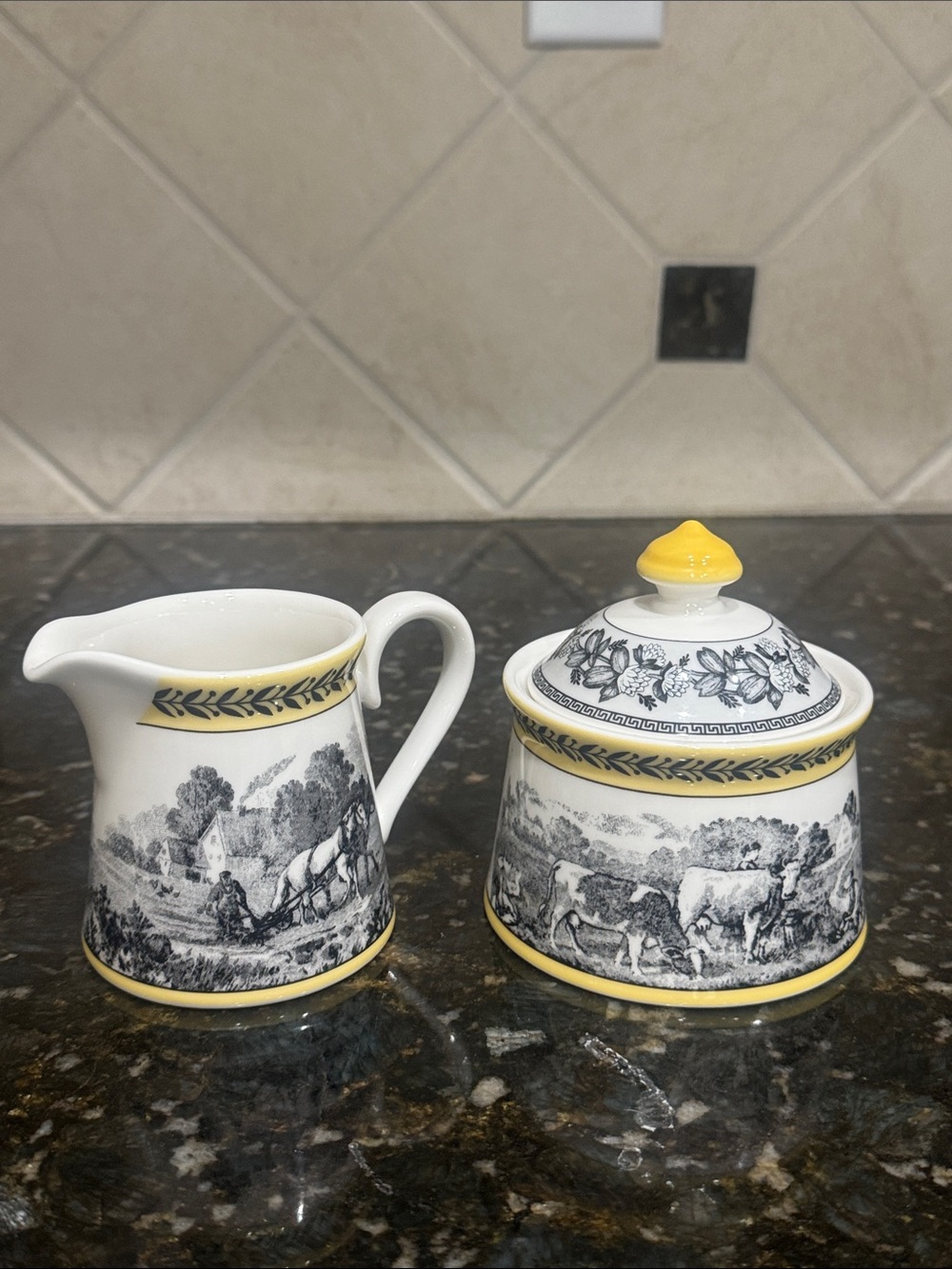 Villeroy & Boch Ardun Ferme Transferware Creamer and Sugar Bowl Set